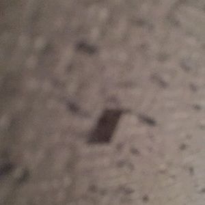 Meet your Posher, Jaylee